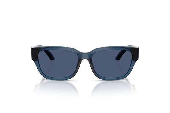 DOLCE&GABBANA  6009 300980 50-15  Güneş Gözlüğü