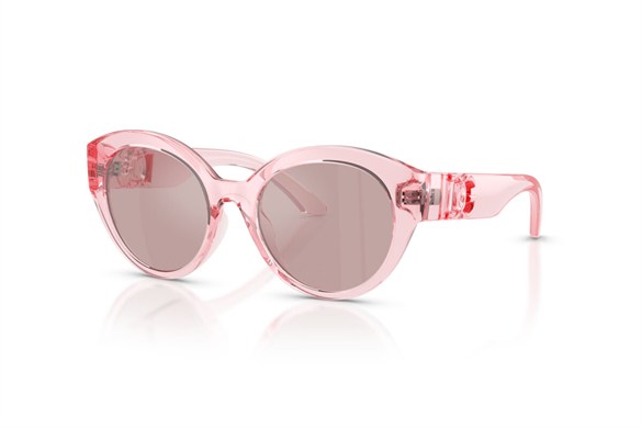 DOLCE&GABBANA  6010 3098VS 47-17  Güneş Gözlüğü