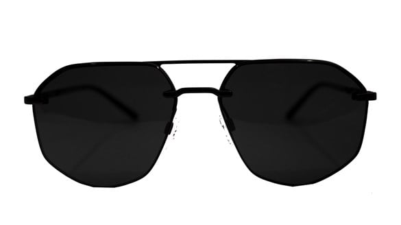 EMPORIO ARMANI  2132 3001/87 59-16  Güneş Gözlüğü