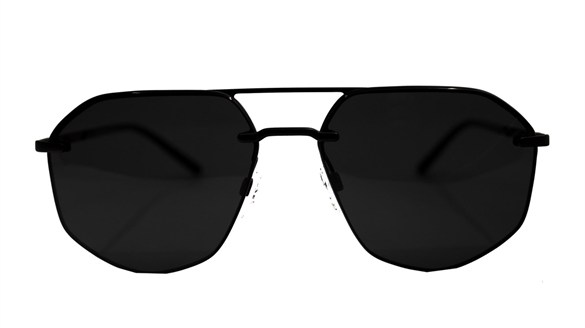 EMPORIO ARMANI  2132 3001/87 59-16  Güneş Gözlüğü