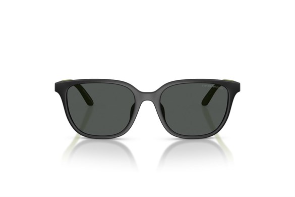 EMPORIO ARMANI  4006U 500187 49-16  Güneş Gözlüğü