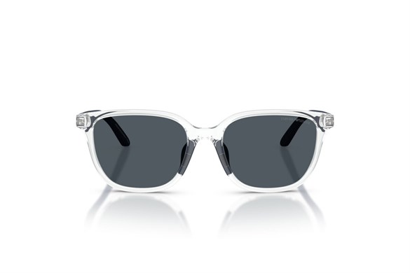 EMPORIO ARMANI  4006U 589387 49-16  Güneş Gözlüğü