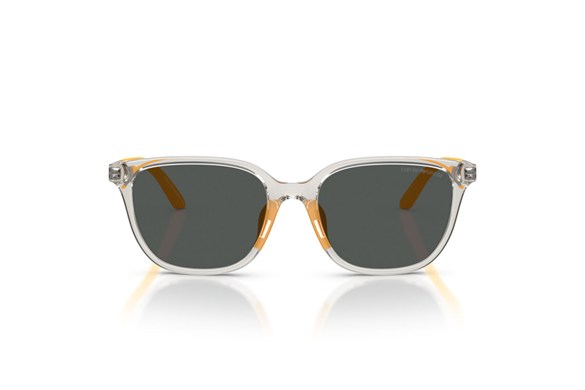 EMPORIO ARMANI  4006U 627987 49-16  Güneş Gözlüğü