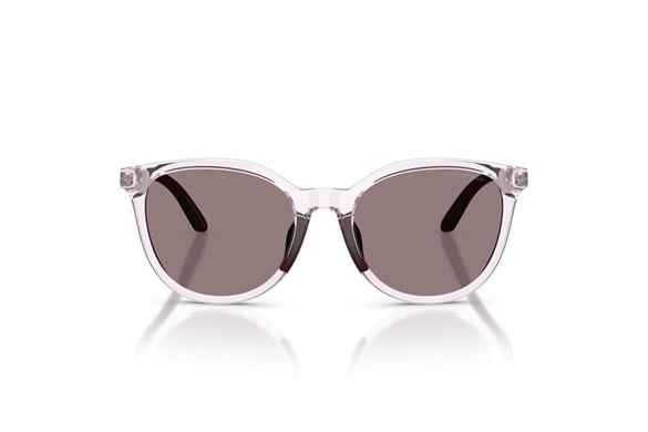 EMPORIO ARMANI  4007U 61397N 49-17  Güneş Gözlüğü
