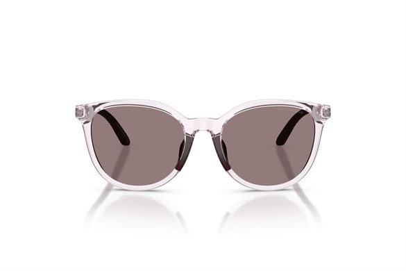 EMPORIO ARMANI  4007U 61397N 49-17  Güneş Gözlüğü