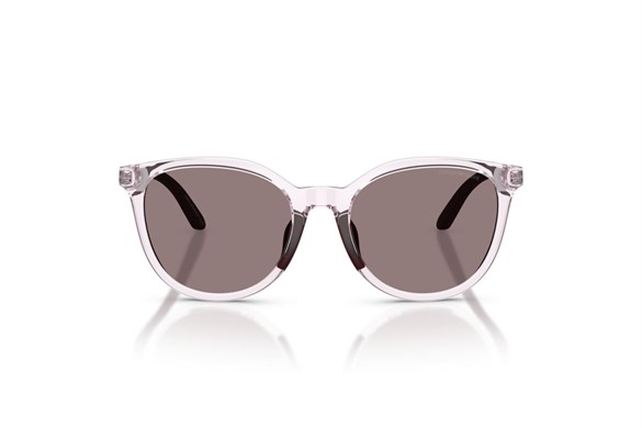 EMPORIO ARMANI  4007U 61397N 49-17  Güneş Gözlüğü