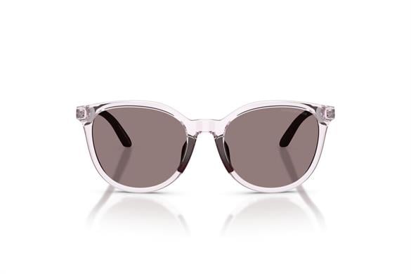 EMPORIO ARMANI  4007U 61397N 49-17  Güneş Gözlüğü