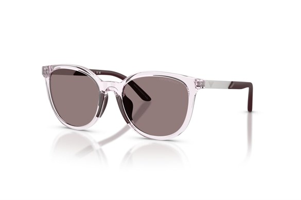 EMPORIO ARMANI  4007U 61397N 49-17  Güneş Gözlüğü
