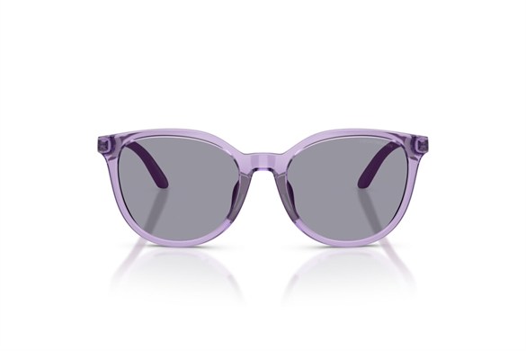 EMPORIO ARMANI  4007U 628080 49-17  Güneş Gözlüğü