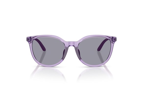 EMPORIO ARMANI  4007U 628080 49-17  Güneş Gözlüğü