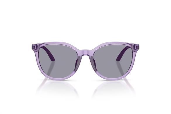 EMPORIO ARMANI  4007U 628080 49-17  Güneş Gözlüğü