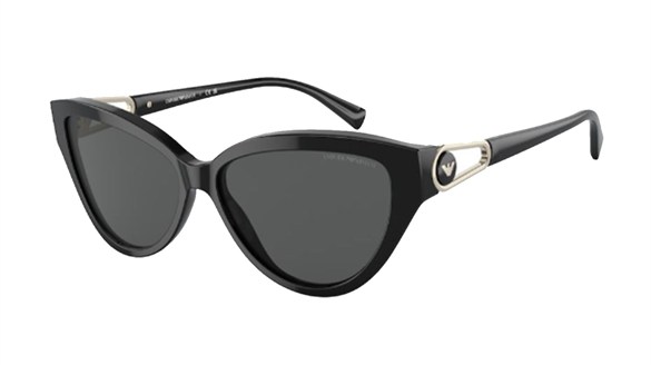 EMPORIO ARMANI  4192 5017/87 57-14  Güneş Gözlüğü