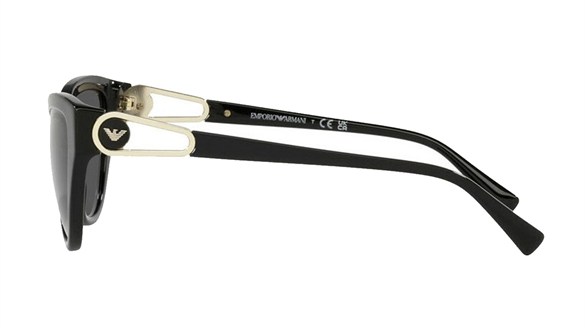 EMPORIO ARMANI  4192 5017/87 57-14  Güneş Gözlüğü