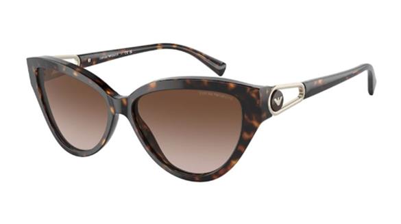 EMPORIO ARMANI  4192 5026/13 57-14  Güneş Gözlüğü