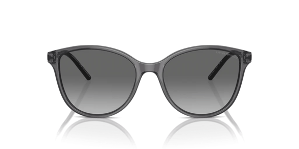 EMPORIO ARMANI  4220 610611 54-17  Güneş Gözlüğü