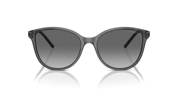 EMPORIO ARMANI  4220 610611 54-17  Güneş Gözlüğü