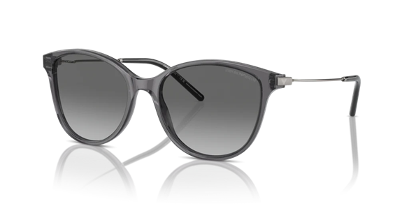 EMPORIO ARMANI  4220 610611 54-17  Güneş Gözlüğü