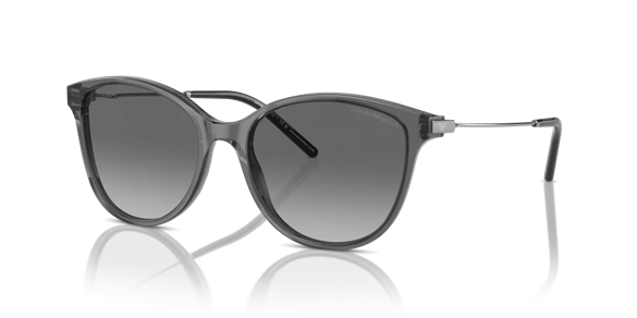 EMPORIO ARMANI  4220 610611 54-17  Güneş Gözlüğü