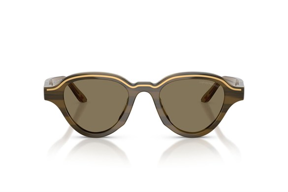EMPORIO ARMANI  4264U 633973 47-20  Güneş Gözlüğü