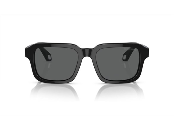 GIORGIO ARMANI  8194U 5875B1 53-19  Güneş Gözlüğü
