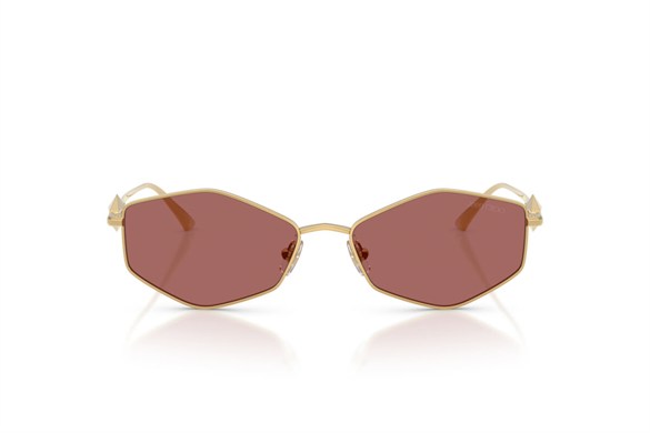 JIMMY CHOO  4017 302369 55-16  Güneş Gözlüğü