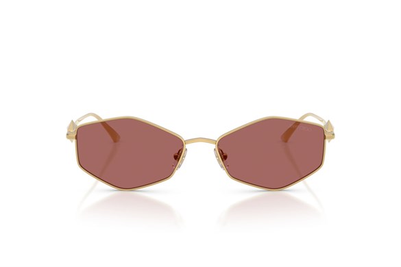 JIMMY CHOO  4017 302369 55-16  Güneş Gözlüğü