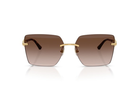 JIMMY CHOO  4018 302313 59-15  Güneş Gözlüğü