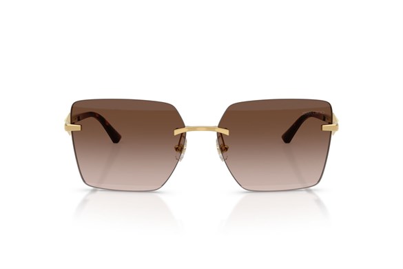 JIMMY CHOO  4018 302313 59-15  Güneş Gözlüğü