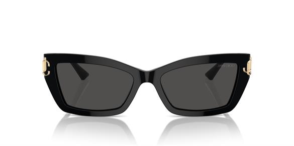 JIMMY CHOO  5011U 500087 55-17  Güneş Gözlüğü