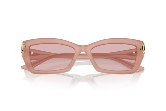 JIMMY CHOO  5011U 5027/5 55-17  Güneş Gözlüğü