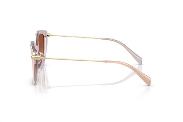 MICHAEL KORS  2246U 401513 52-17  Güneş Gözlüğü