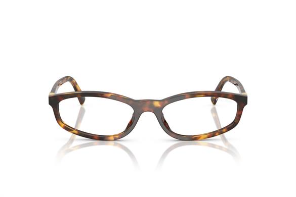 Mıu Mıu  A06S 14L08N 54-21  Güneş Gözlüğü