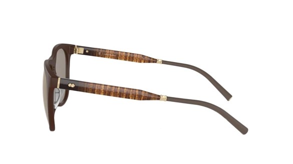 OLIVER PEOPLES  5554SU 70055A 55-17  Güneş Gözlüğü