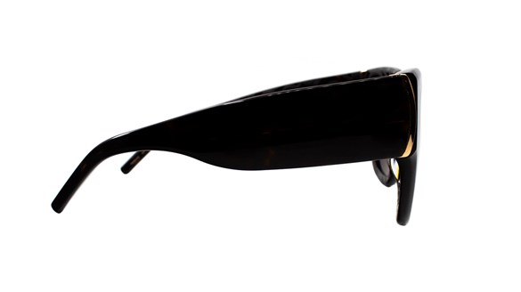 POMELLATO  PM0012S 002 51-21  Güneş Gözlüğü