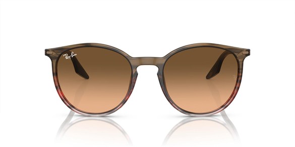 Ray-ban  2204 13953B 51-20  Güneş Gözlüğü