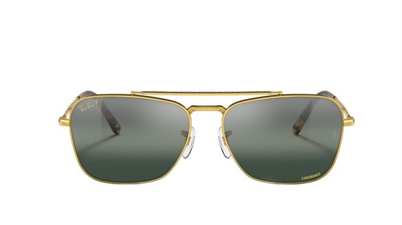 Ray-ban  3636 9196G6 55-15  Güneş Gözlüğü