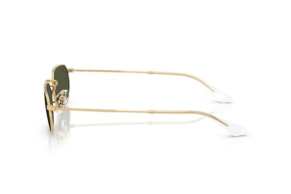 Ray-ban  3947 001/31 57-18  Güneş Gözlüğü