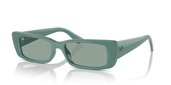 Ray-ban  4425 676282 54-17  Güneş Gözlüğü