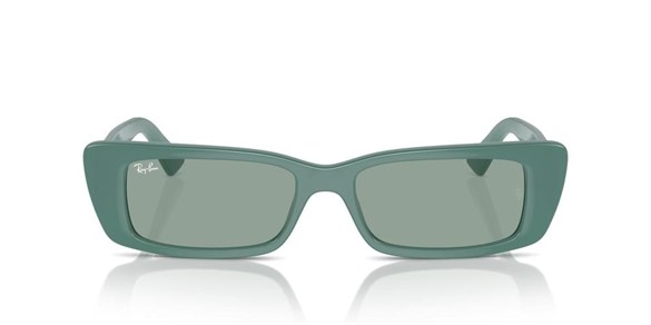 Ray-ban  4425 676282 54-17  Güneş Gözlüğü