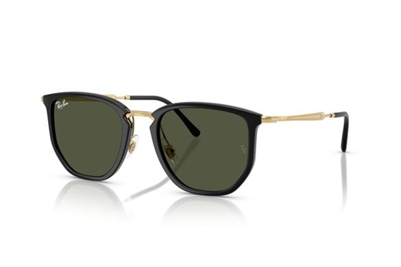 Ray-ban  4451 630631 50-20  Güneş Gözlüğü