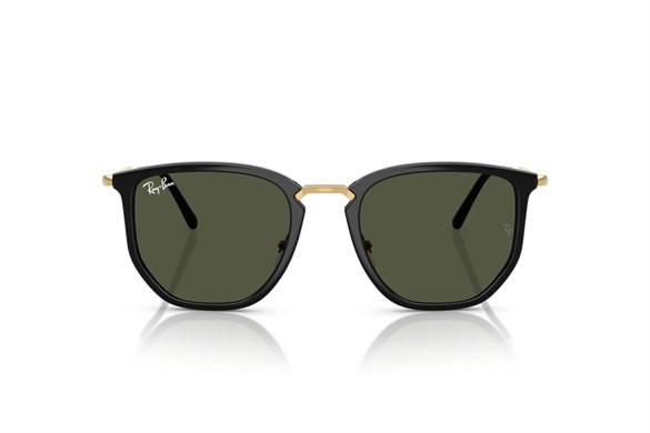 Ray-ban  4451 630631 50-20  Güneş Gözlüğü