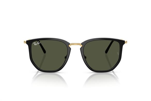 Ray-ban  4451 630631 50-20  Güneş Gözlüğü