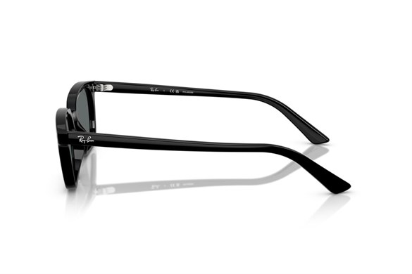 Ray-ban  4456 667781 53-19  Güneş Gözlüğü