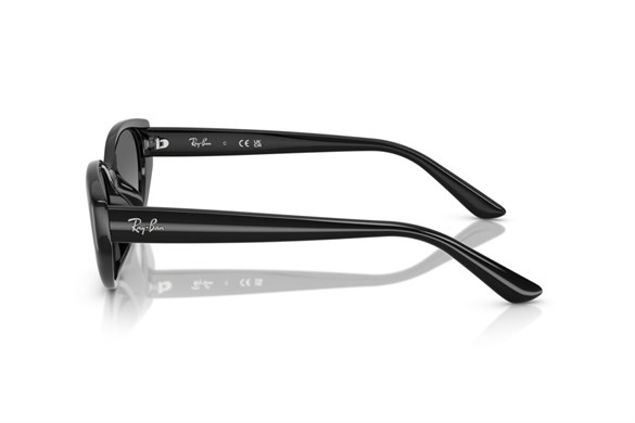 Ray-ban  4457D 667711 55-19  Güneş Gözlüğü