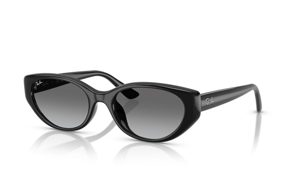 Ray-ban  4457D 667711 55-19  Güneş Gözlüğü