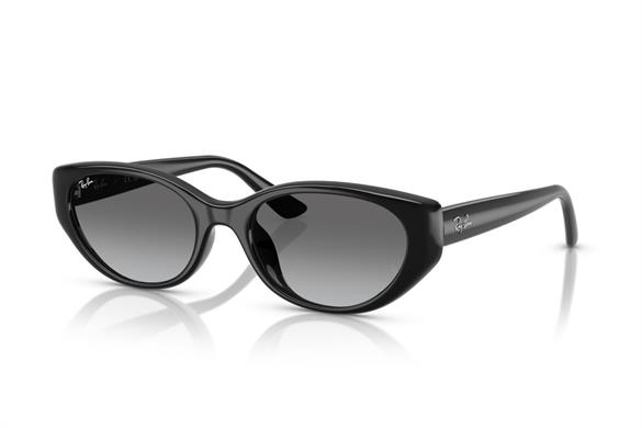 Ray-ban  4457D 667711 55-19  Güneş Gözlüğü