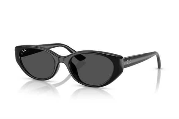 Ray-ban  4457D 667787 55-19  Güneş Gözlüğü
