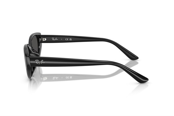 Ray-ban  4457D 667787 55-19  Güneş Gözlüğü