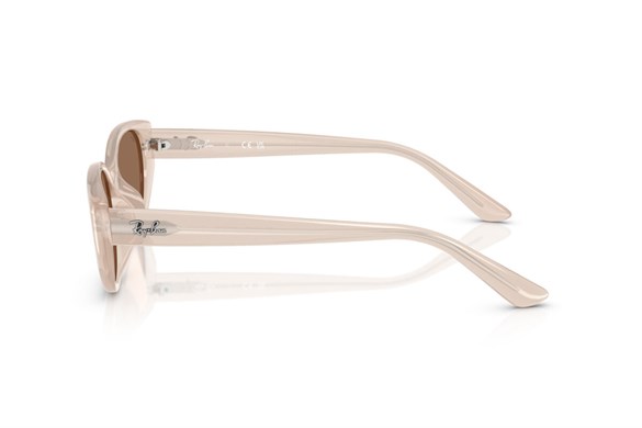 Ray-ban  4457D 678673 55-19  Güneş Gözlüğü