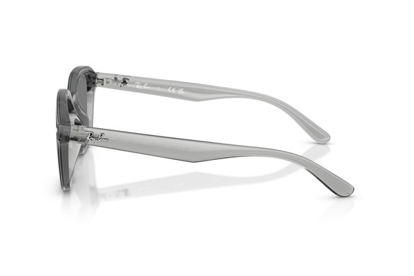 Ray-ban  4458D 645087 65-18  Güneş Gözlüğü